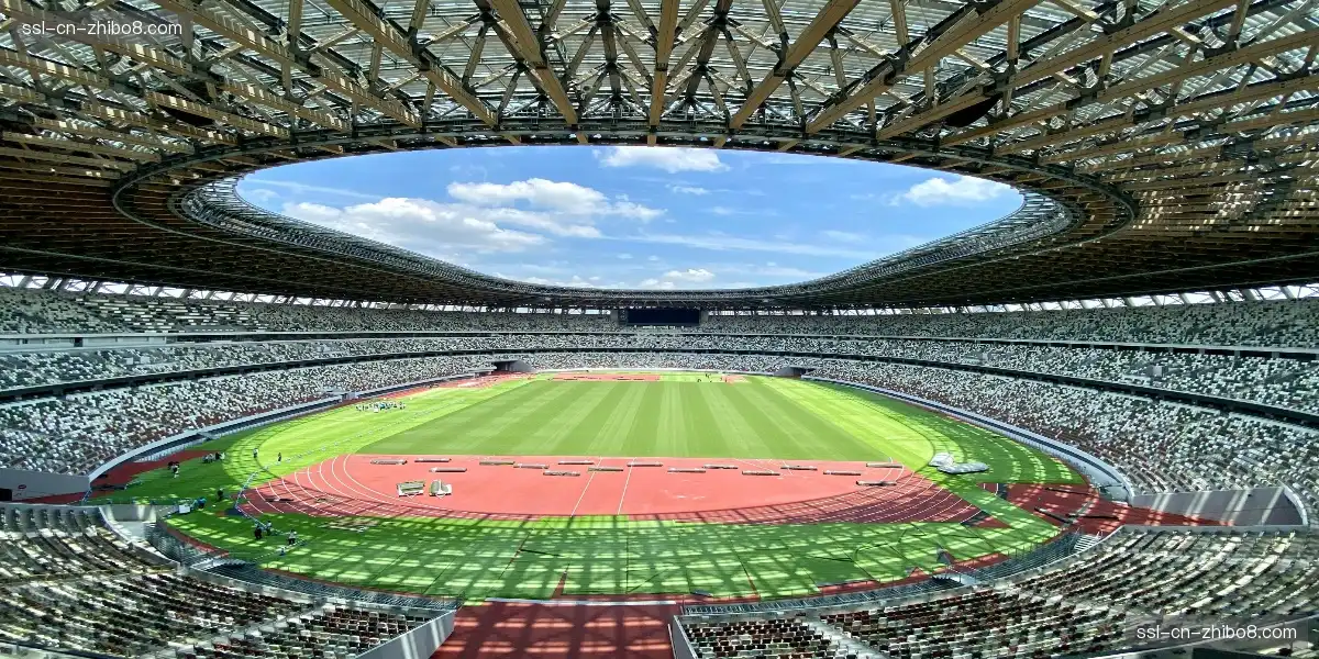 📺 沉浸式观赛体验，让你忘记身在屏幕前！🎭